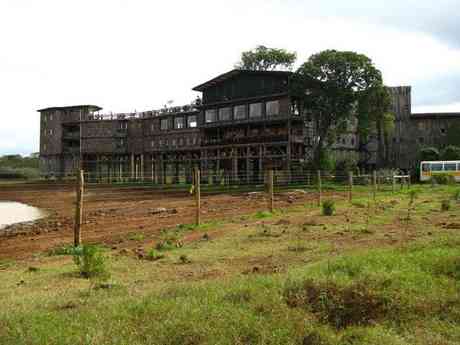 Tree-tops Lodge